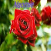helderziende  Naomie 